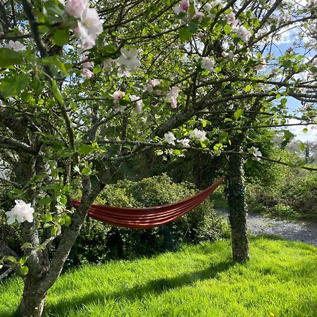 Gite A La Campagne Le Mesnil-Villeman Extérieur photo
