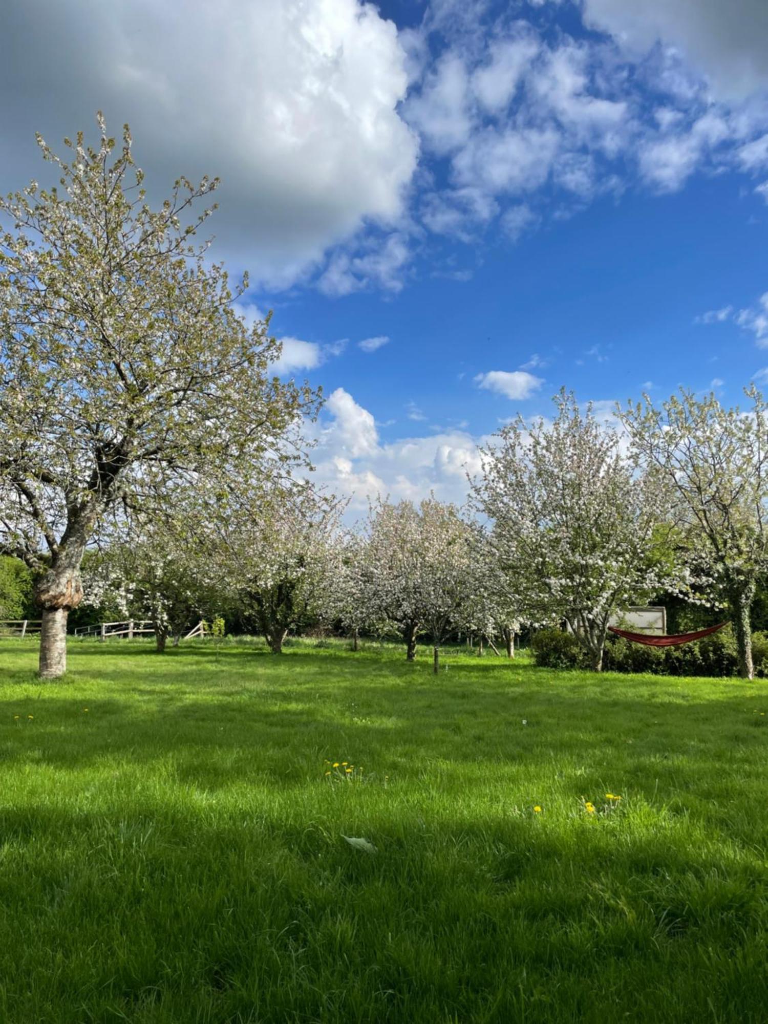 Gite A La Campagne Le Mesnil-Villeman Extérieur photo